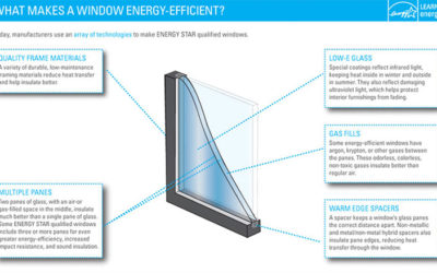 Modular Building Windows What Are My Choices